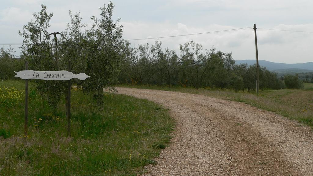 マッサ・マリッティマ Agriturismo Podere La Cascataヴィラ エクステリア 写真