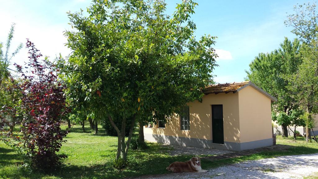 マッサ・マリッティマ Agriturismo Podere La Cascataヴィラ エクステリア 写真
