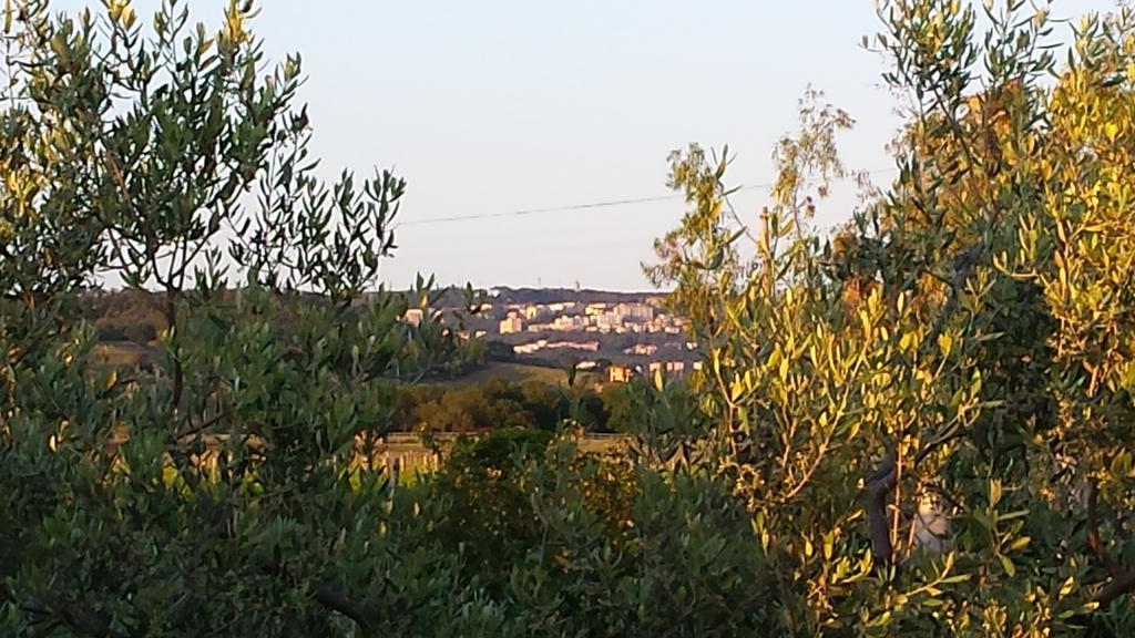 マッサ・マリッティマ Agriturismo Podere La Cascataヴィラ エクステリア 写真