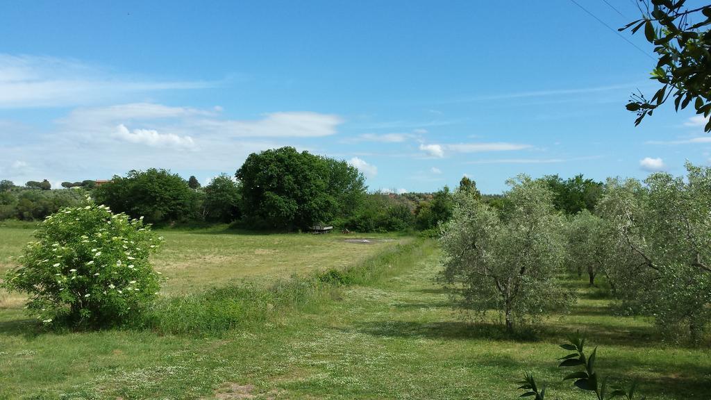 マッサ・マリッティマ Agriturismo Podere La Cascataヴィラ エクステリア 写真