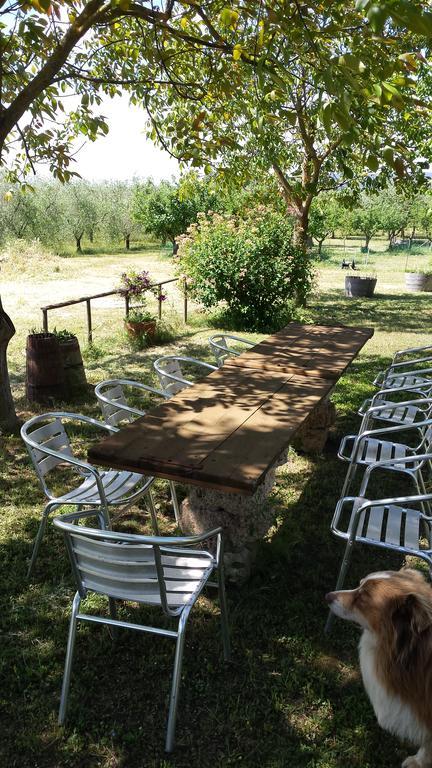 マッサ・マリッティマ Agriturismo Podere La Cascataヴィラ エクステリア 写真